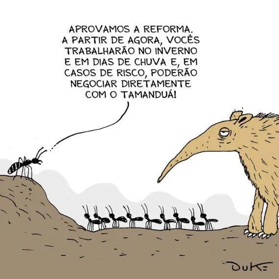 Reformaemvigor