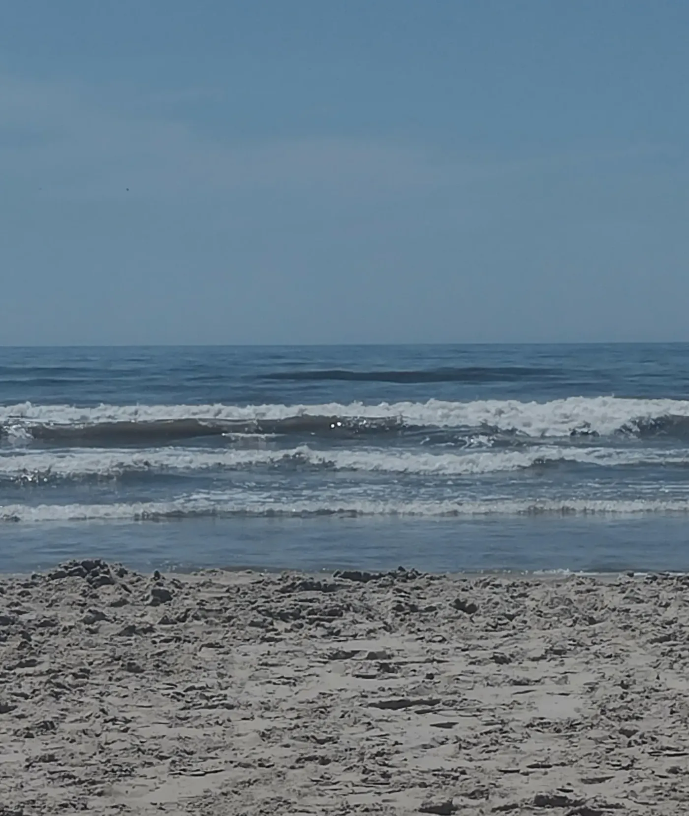 IMG 20240204 105338653 HDR 1.jpg