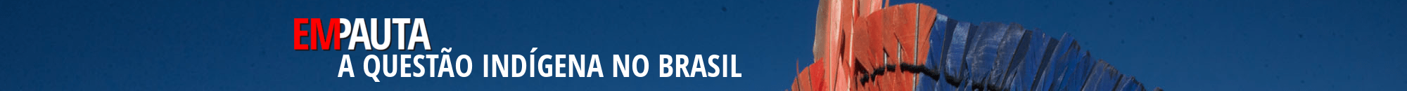 Pagina QUESTAO INDIGENA2
