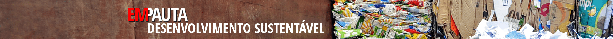 Pagina desenvolvimento sustentavel2